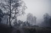 Nebel © Andreas Bender